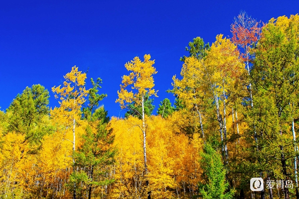 行走中的风景:穿行神州极北 探秘漠河北极村