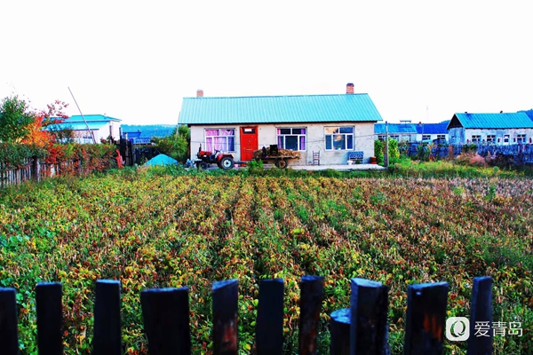 行走中的风景:穿行神州极北 探秘漠河北极村