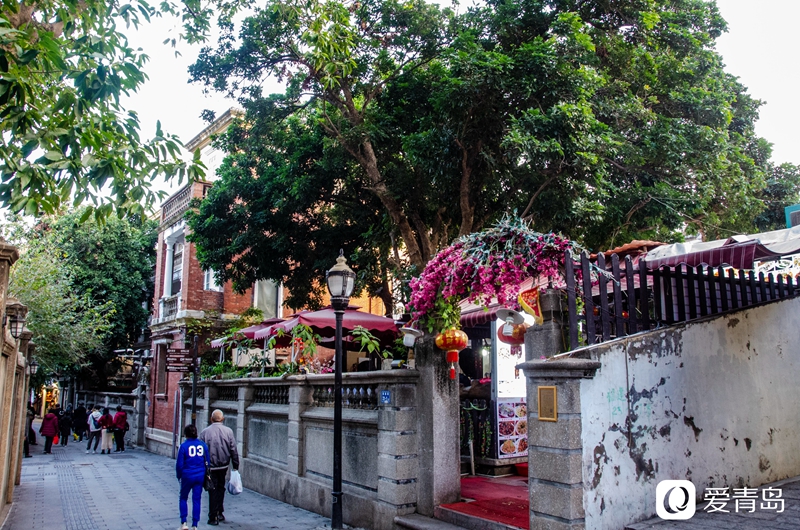 行走中的风景：面朝大海一座城 在厦门感受冬的温暖