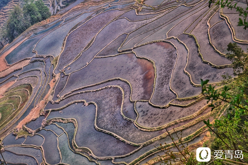 行走中的风景：寻访大自然的调色盘 绚丽多彩的东川红土地