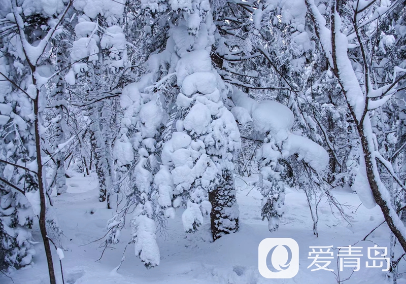 行走中的风景：雪中的老克里湖 梦里的童话世界