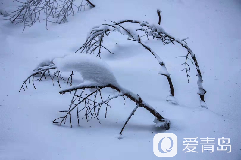 行走中的风景：雪中的老克里湖 梦里的童话世界