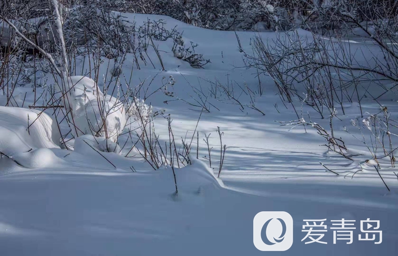 行走中的风景：雪中的老克里湖 梦里的童话世界