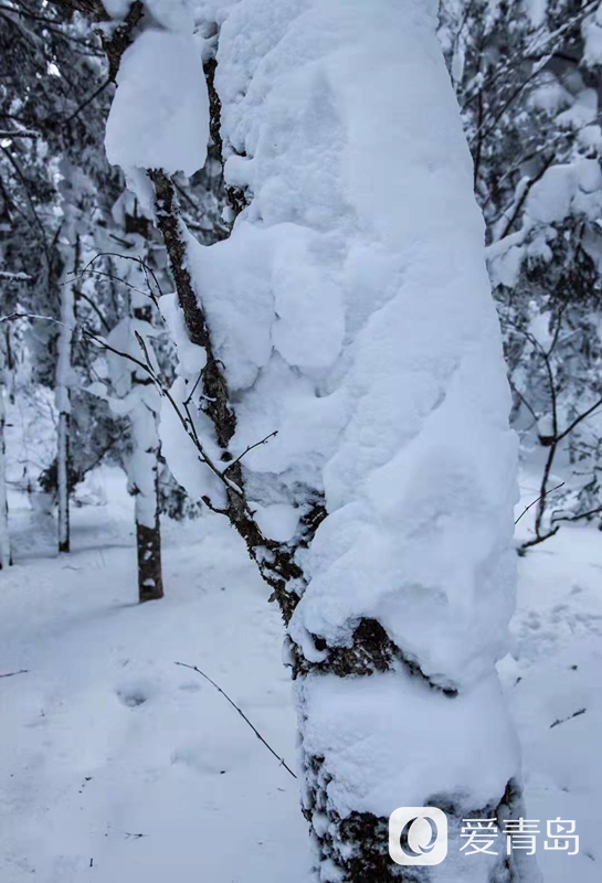 行走中的风景：雪中的老克里湖 梦里的童话世界