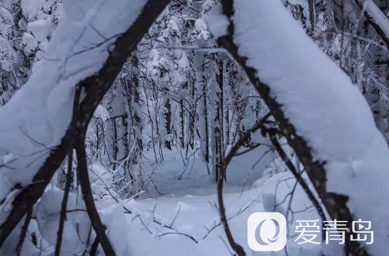行走中的风景：雪中的老克里湖 梦里的童话世界