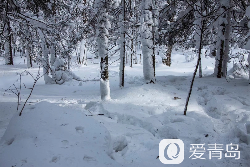 行走中的风景：雪中的老克里湖 梦里的童话世界