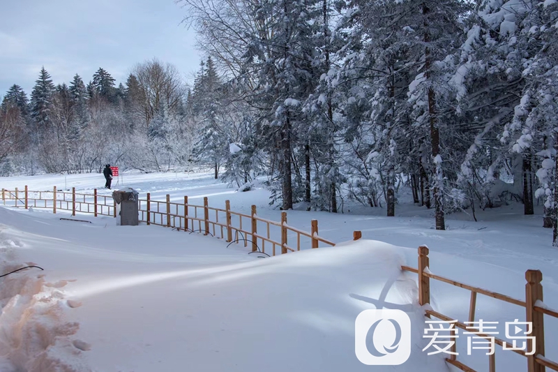 行走中的风景:雪中的老克里湖 梦里的童话世界