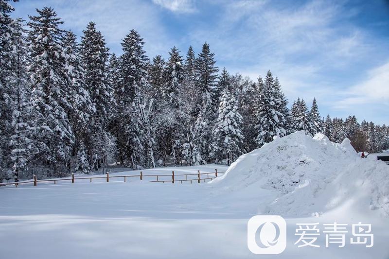 行走中的风景:雪中的老克里湖 梦里的童话世界