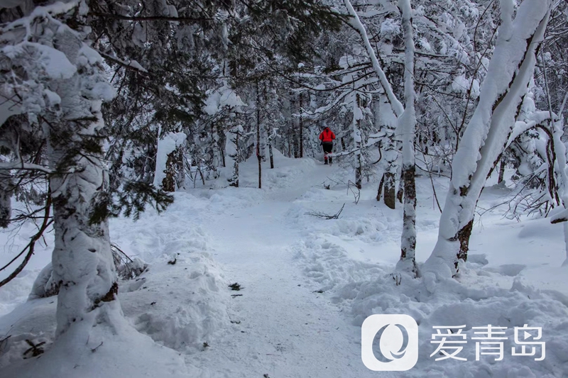 行走中的风景:雪中的老克里湖 梦里的童话世界