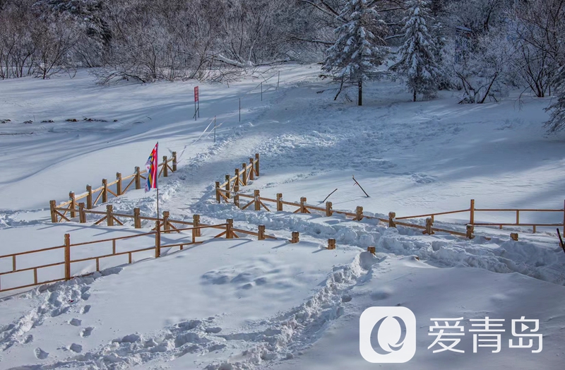 行走中的风景:雪中的老克里湖 梦里的童话世界