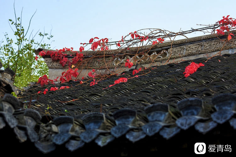 行走中的风景:漫步窑湾古镇,来一次穿越时空的对话