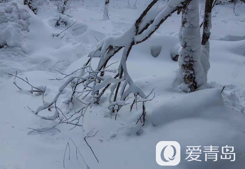 行走中的风景：雪中的老克里湖 梦里的童话世界