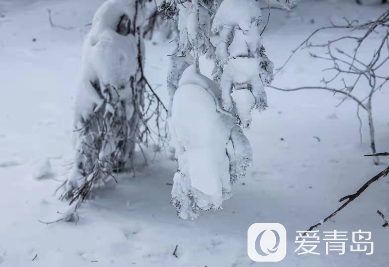 行走中的风景：雪中的老克里湖 梦里的童话世界