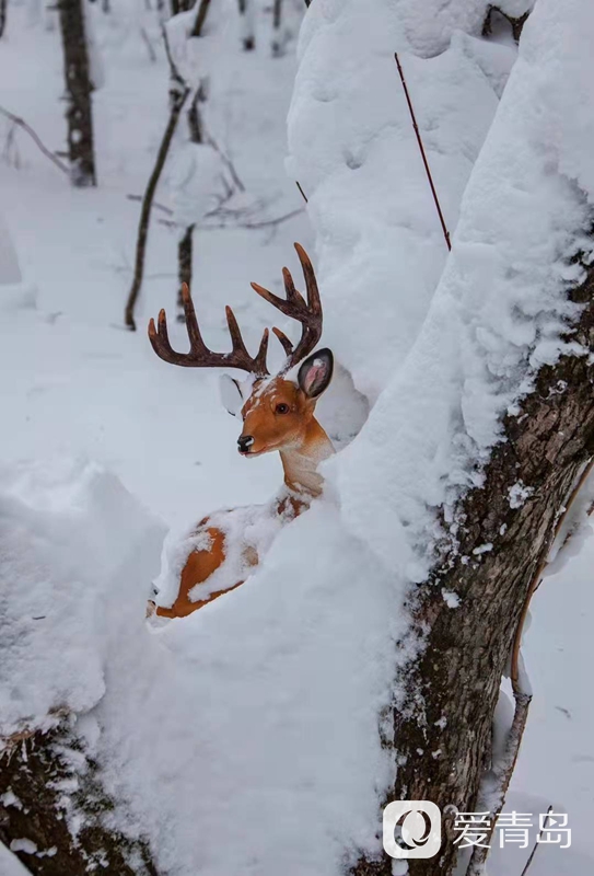 行走中的风景：雪中的老克里湖 梦里的童话世界