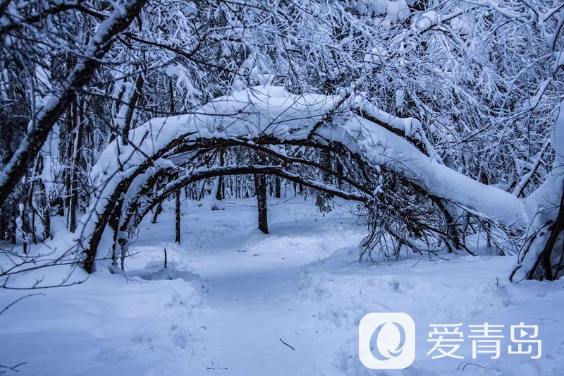 行走中的风景：雪中的老克里湖 梦里的童话世界