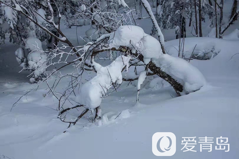 行走中的风景：雪中的老克里湖 梦里的童话世界