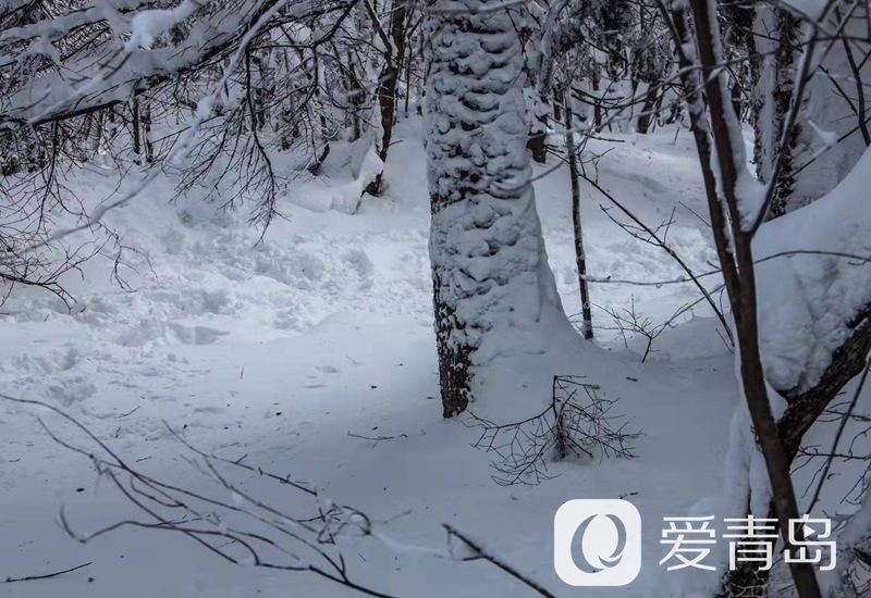 行走中的风景:雪中的老克里湖 梦里的童话世界