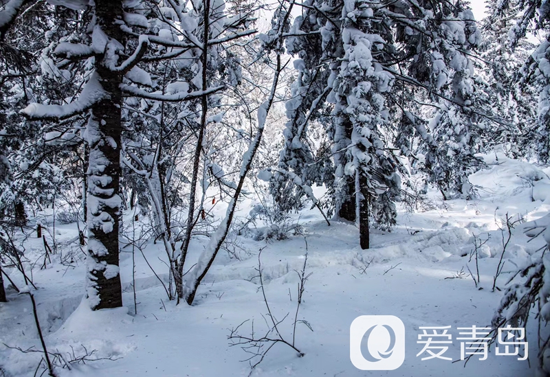 行走中的风景:雪中的老克里湖 梦里的童话世界