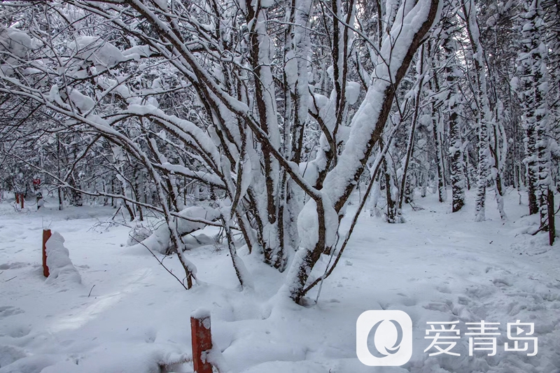 行走中的风景:雪中的老克里湖 梦里的童话世界