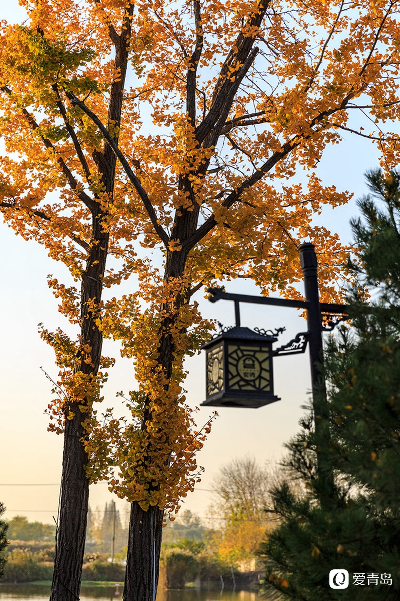 行走中的风景：漫步窑湾古镇，来一次穿越时空的对话