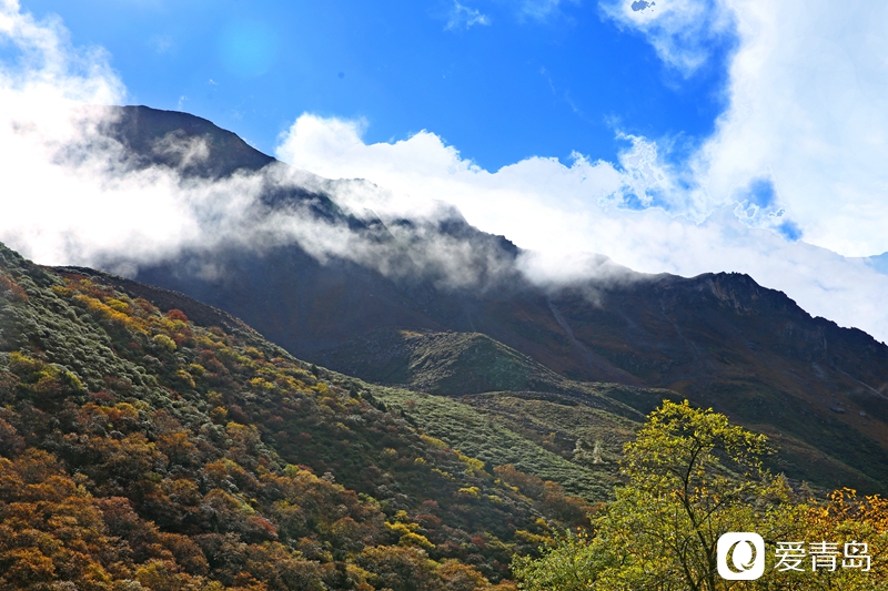 行走中的风景：悠游天府之国沉醉斑斓九寨