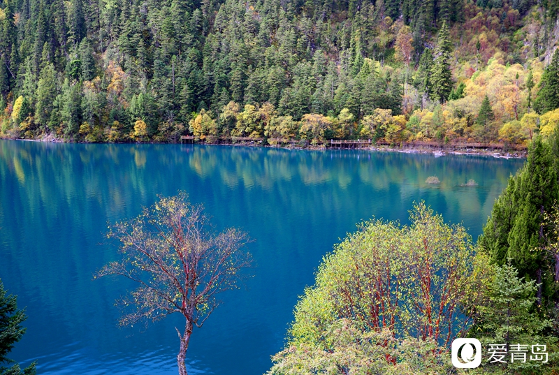 行走中的风景:悠游天府之国沉醉斑斓九寨