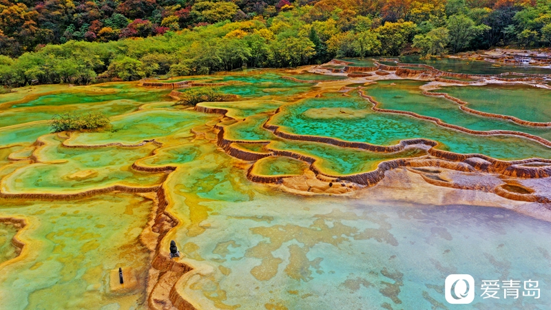 行走中的风景：悠游天府之国沉醉斑斓九寨