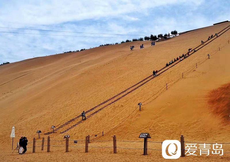 行走中的风景:大漠无疆长河长 驼铃声声美酒香