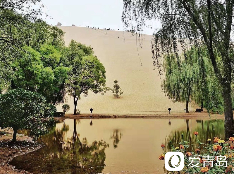 行走中的风景:大漠无疆长河长 驼铃声声美酒香