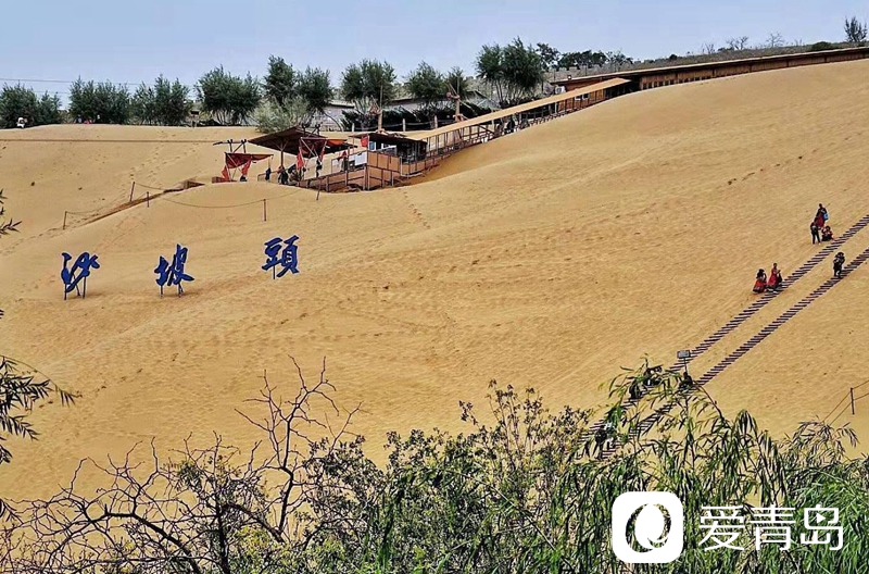 行走中的风景:大漠无疆长河长 驼铃声声美酒香