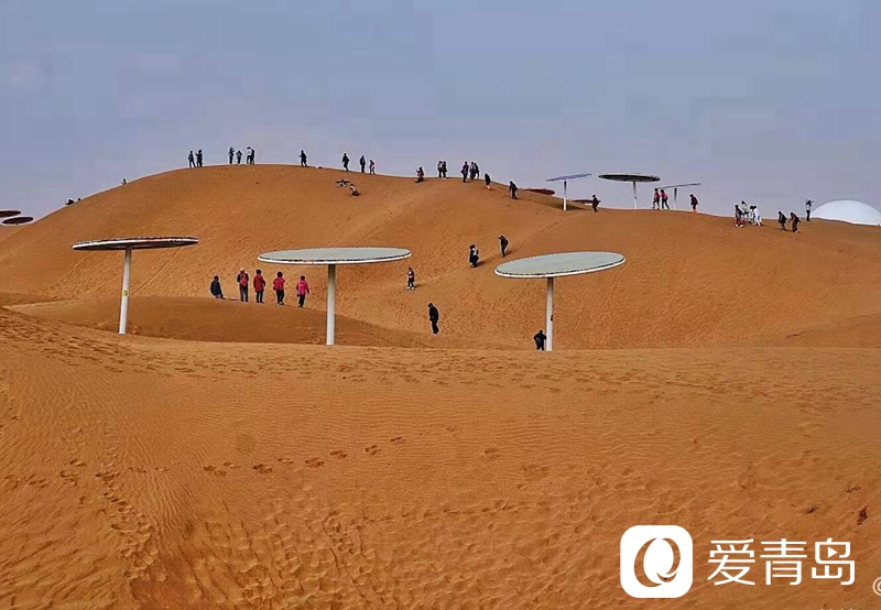 行走中的风景：大漠无疆长河长 驼铃声声美酒香