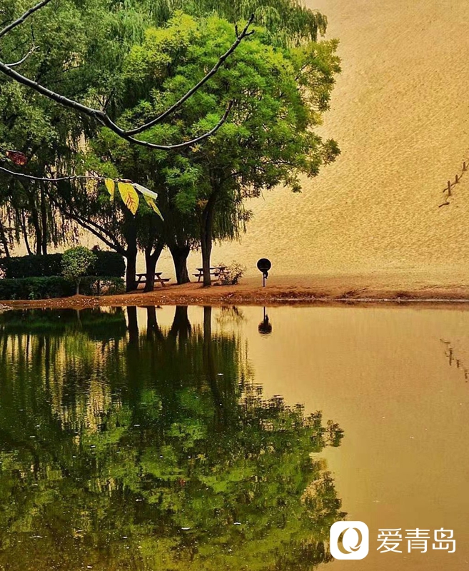 行走中的风景：大漠无疆长河长 驼铃声声美酒香