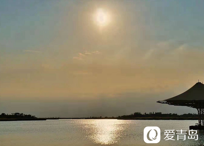 行走中的风景：大漠无疆长河长 驼铃声声美酒香