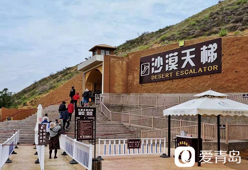 行走中的风景：大漠无疆长河长 驼铃声声美酒香