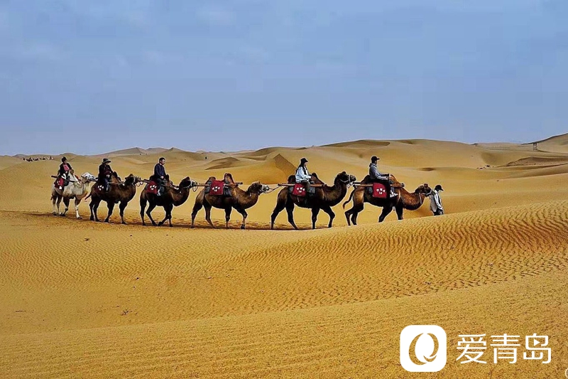 行走中的风景:大漠无疆长河长 驼铃声声美酒香