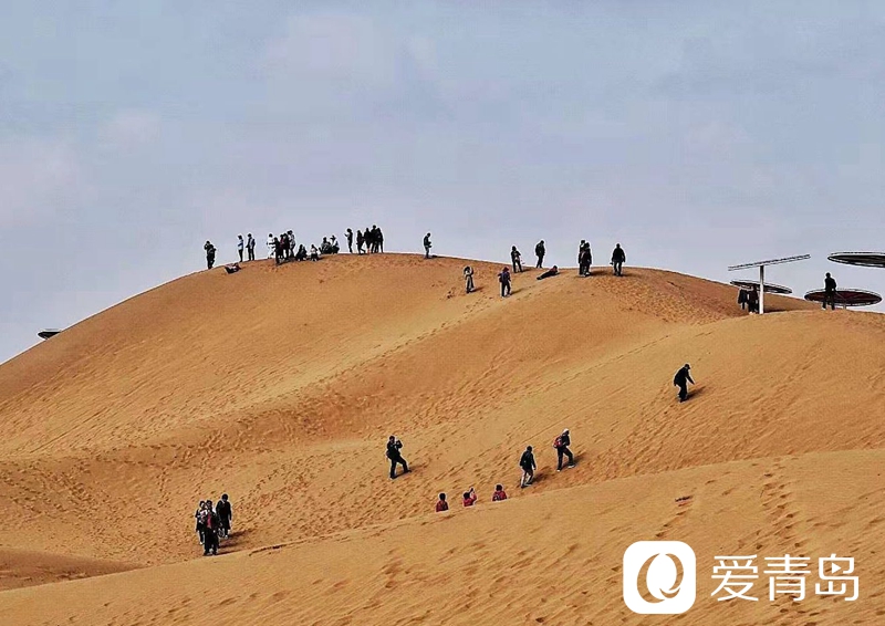 行走中的风景：大漠无疆长河长 驼铃声声美酒香
