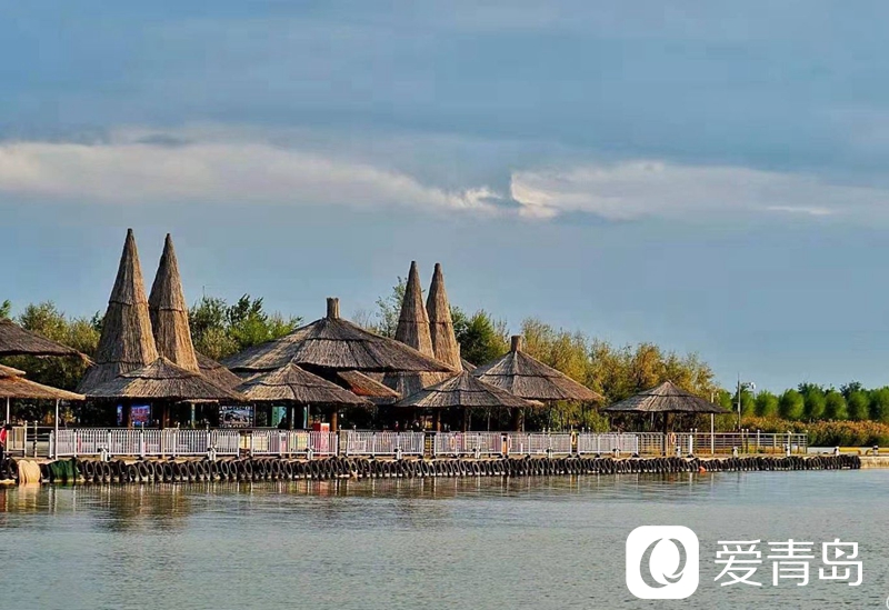 行走中的风景：大漠无疆长河长 驼铃声声美酒香