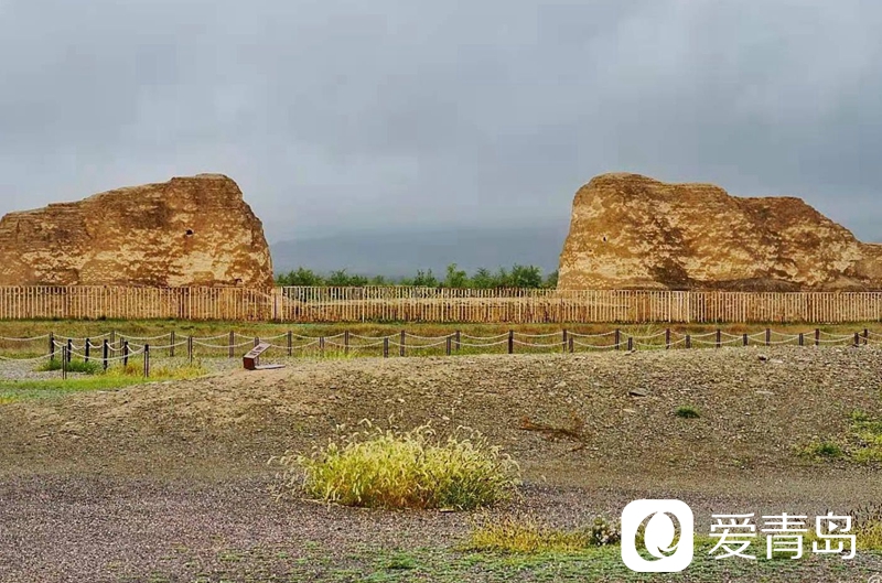 行走中的风景：大漠无疆长河长 驼铃声声美酒香