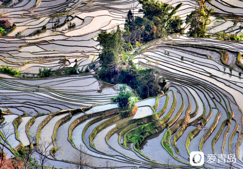 行走中的风景：走进元阳梯田 探寻大地的艺术