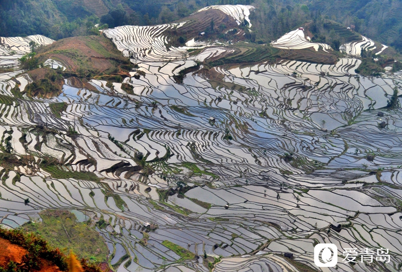 行走中的风景:走进元阳梯田 探寻大地的艺术