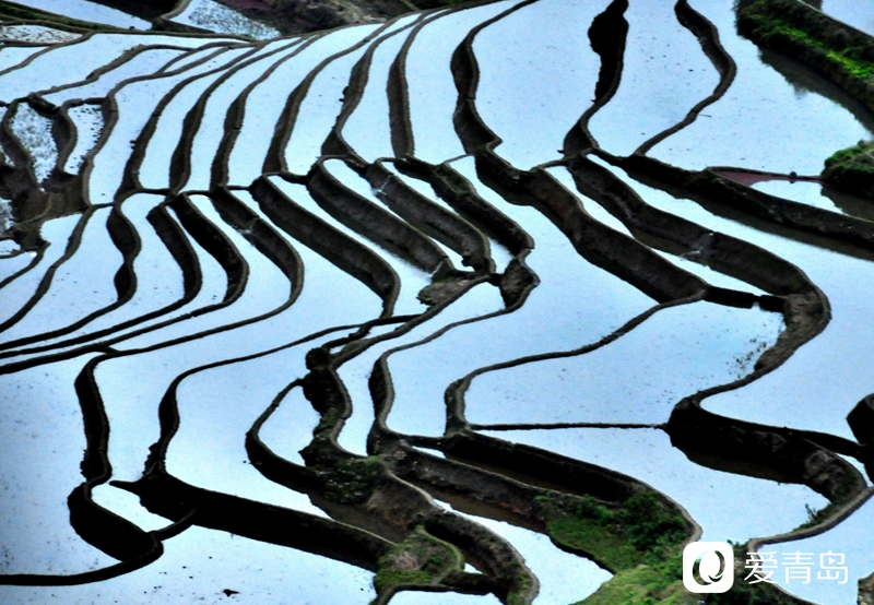 行走中的风景:走进元阳梯田 探寻大地的艺术