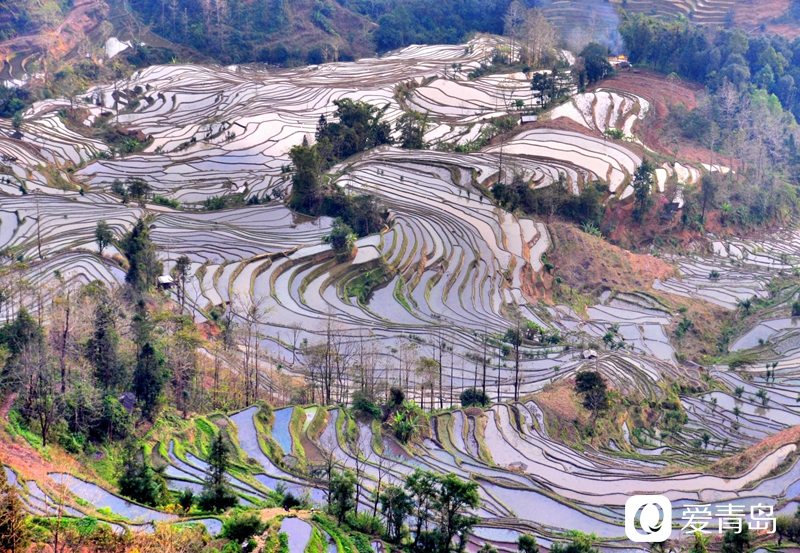 行走中的风景：走进元阳梯田 探寻大地的艺术
