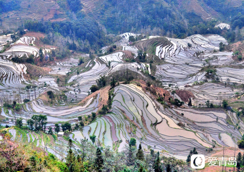 行走中的风景：走进元阳梯田 探寻大地的艺术