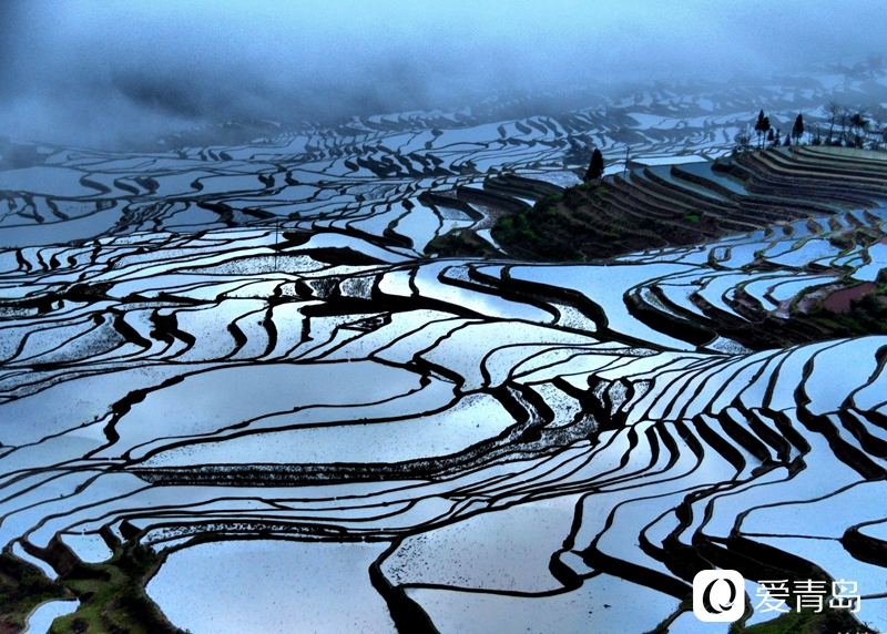 行走中的风景：走进元阳梯田 探寻大地的艺术