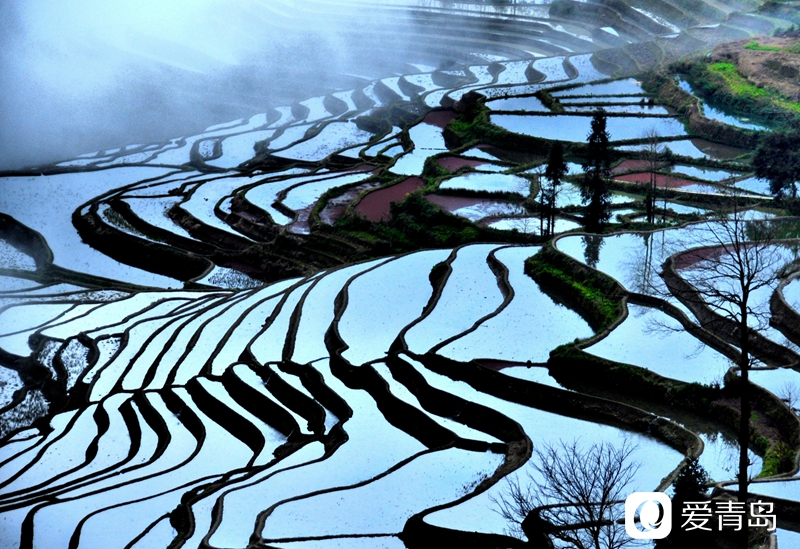 行走中的风景：走进元阳梯田 探寻大地的艺术