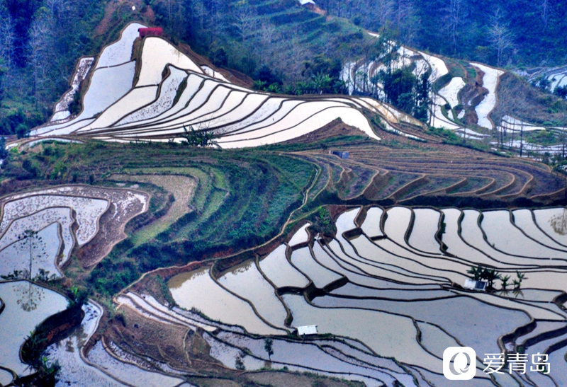 行走中的风景:走进元阳梯田 探寻大地的艺术