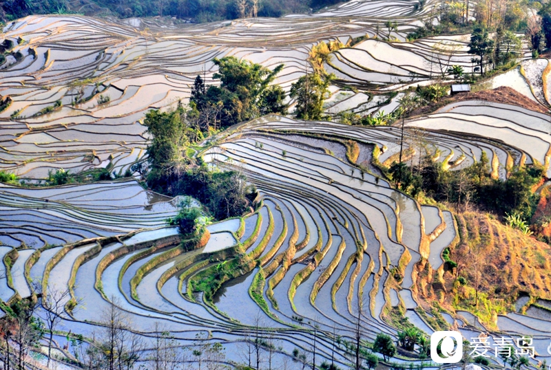 行走中的风景：走进元阳梯田 探寻大地的艺术
