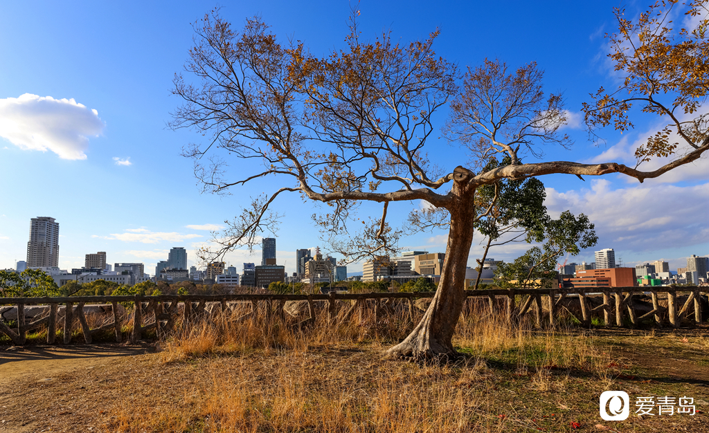 行走中的风景:追着和风由东往西 沉浸在岛国的千载流光