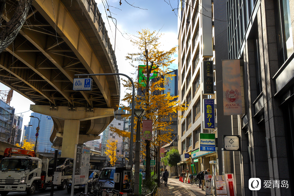 行走中的风景:追着和风由东往西 沉浸在岛国的千载流光