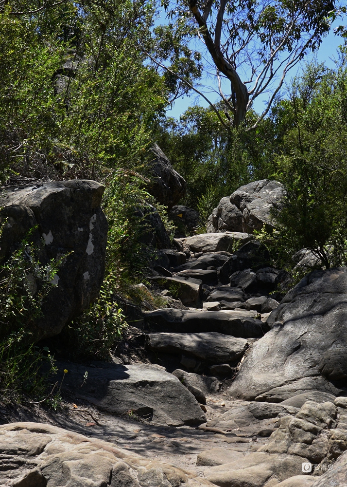 行走中的风景:漫步澳大利亚 去南半球体验另一种风景
